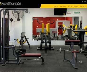 Nuevo sitio web más sistema de clientes diseñado por nosotros: Palestra Gym